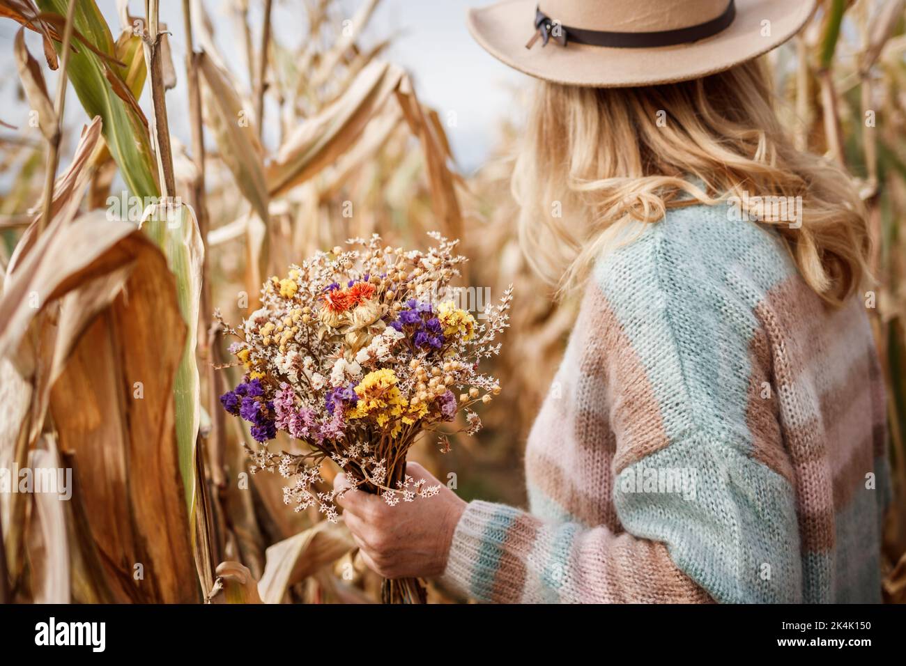 Donna con cappello e maglione a maglia che tiene bouquet di fiori secchi in campo di mais. Abbigliamento femminile per la stagione autunnale Foto Stock