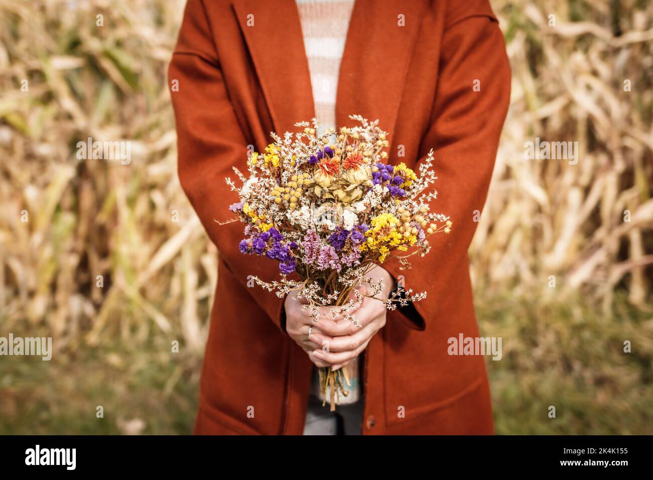 Donna con cappotto rosso che tiene bouquet di fiori secchi in campo di mais. Stagione autunnale in campagna Foto Stock