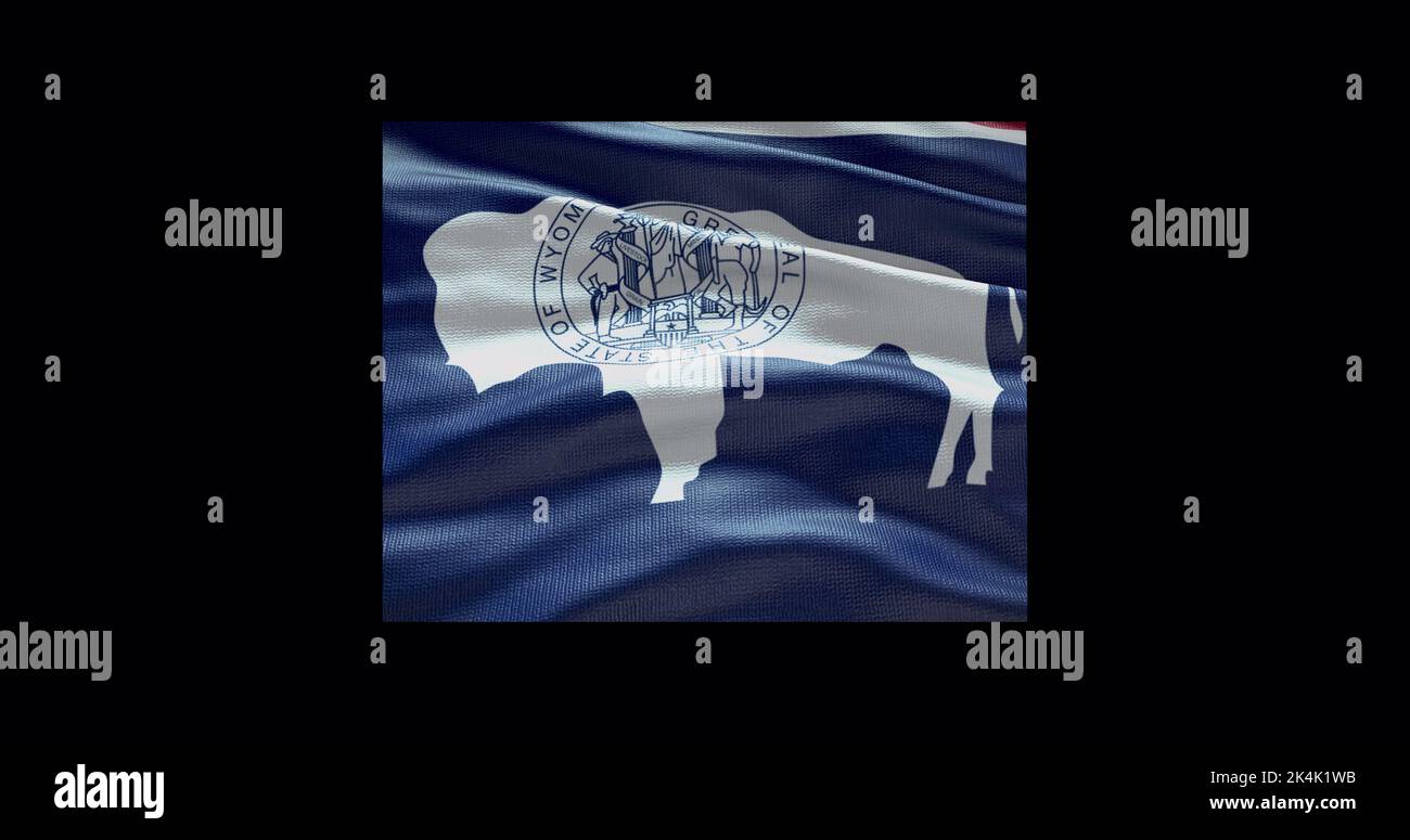 Mappa dello stato del Wyoming con bandiera ondulata. Sfondo canale alfa. Foto Stock