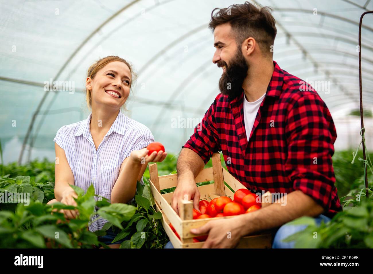 Il team amichevole raccoglie verdure fresche dal giardino serra sul tetto Foto Stock