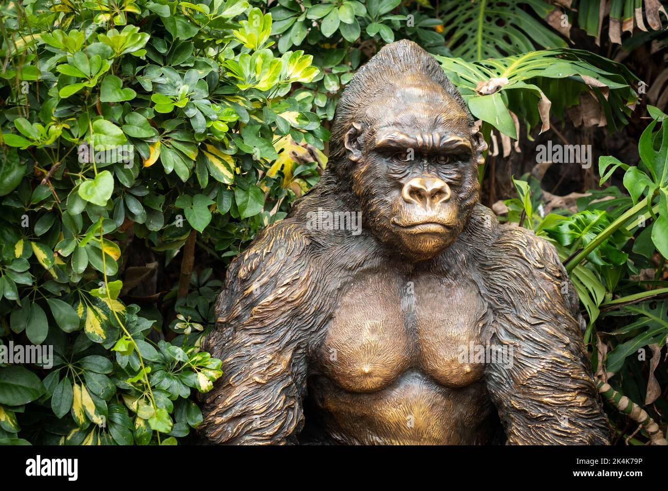 Tenerife, Spagna - Agosto, 2022: Statua di Gorilla a loro Parque a Tenerife Foto Stock