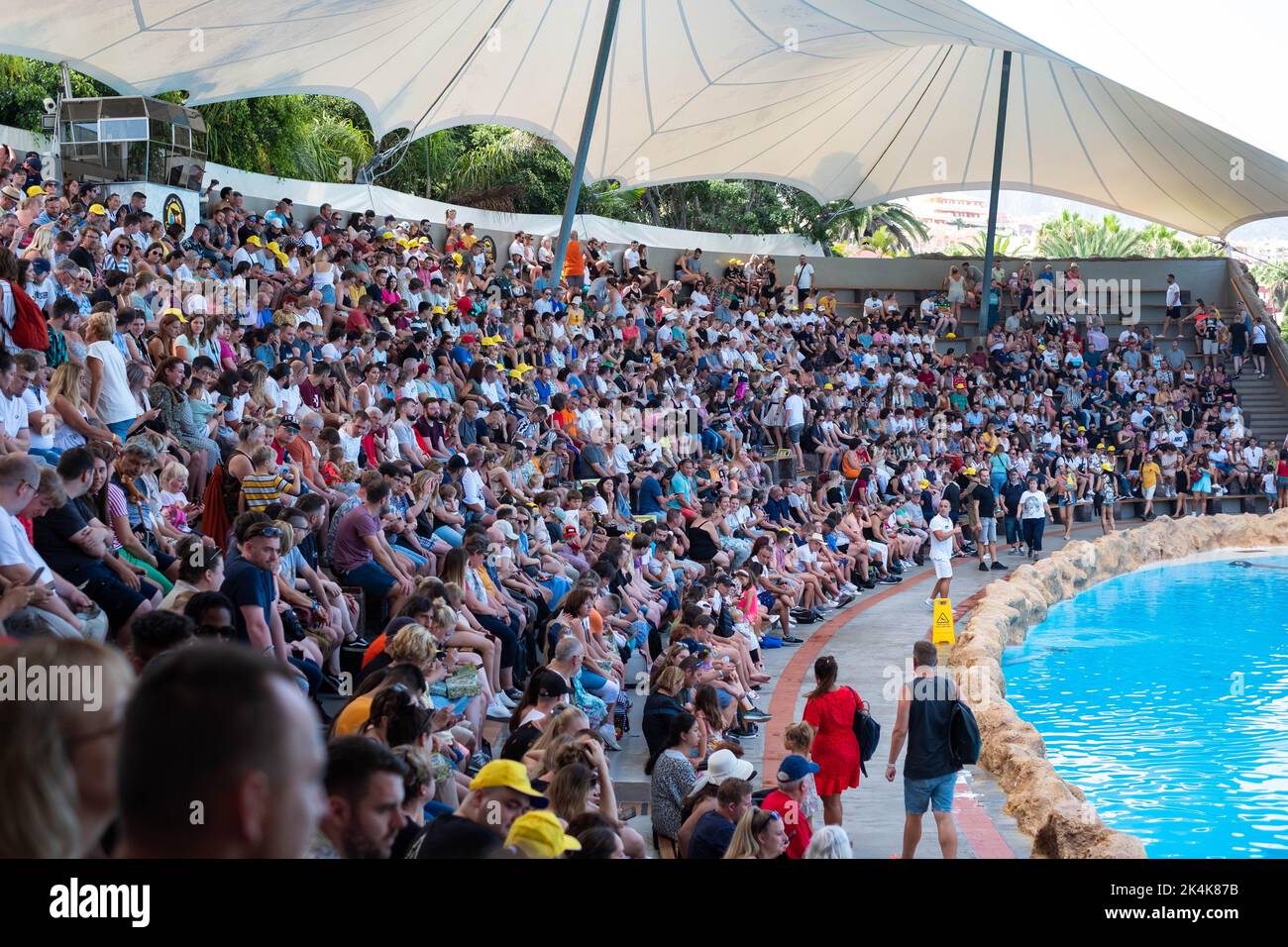 Tenerife, Spagna - Agosto, 2022: Folla di persone, pubblico di Dolphin show al loro Parque a Tenerife Foto Stock