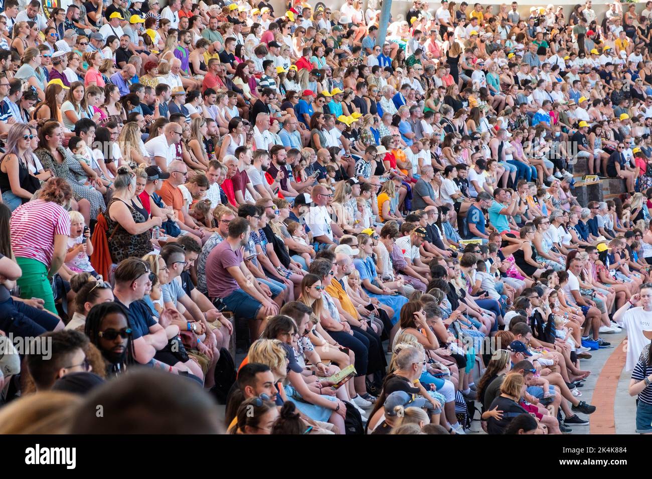 Tenerife, Spagna - Agosto, 2022: Folla di persone, pubblico di Dolphin show al loro Parque a Tenerife Foto Stock
