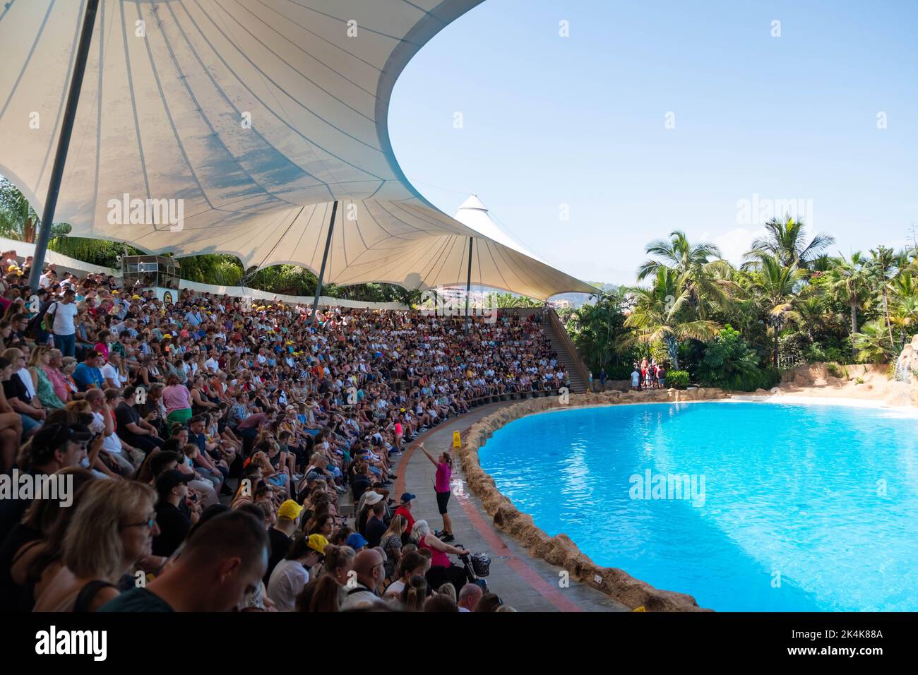 Tenerife, Spagna - Agosto, 2022: Persone che guardano lo spettacolo dei Delfini al loro Parque a Tenerife Foto Stock