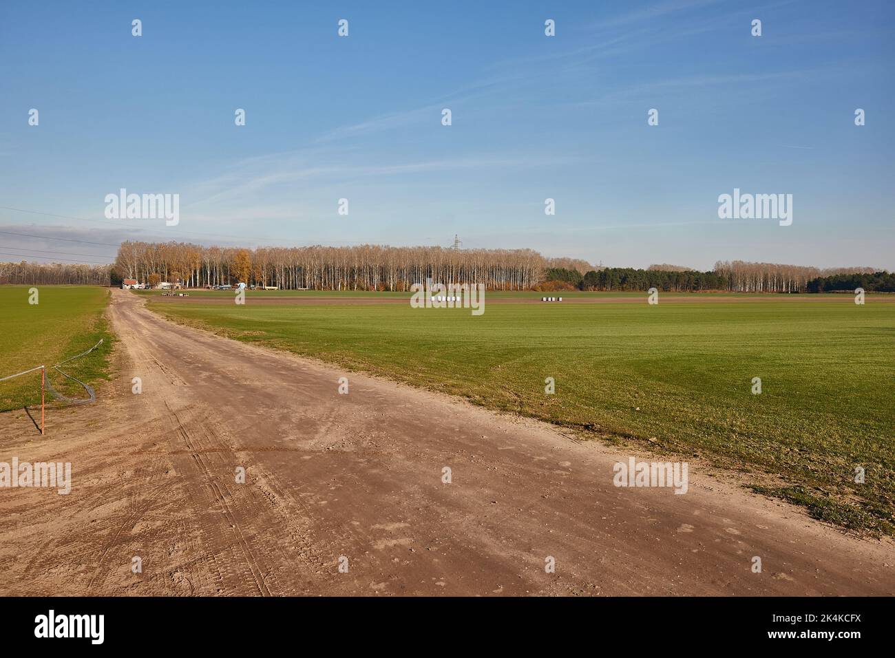 Campo Agircutural con strada sterrata Foto Stock