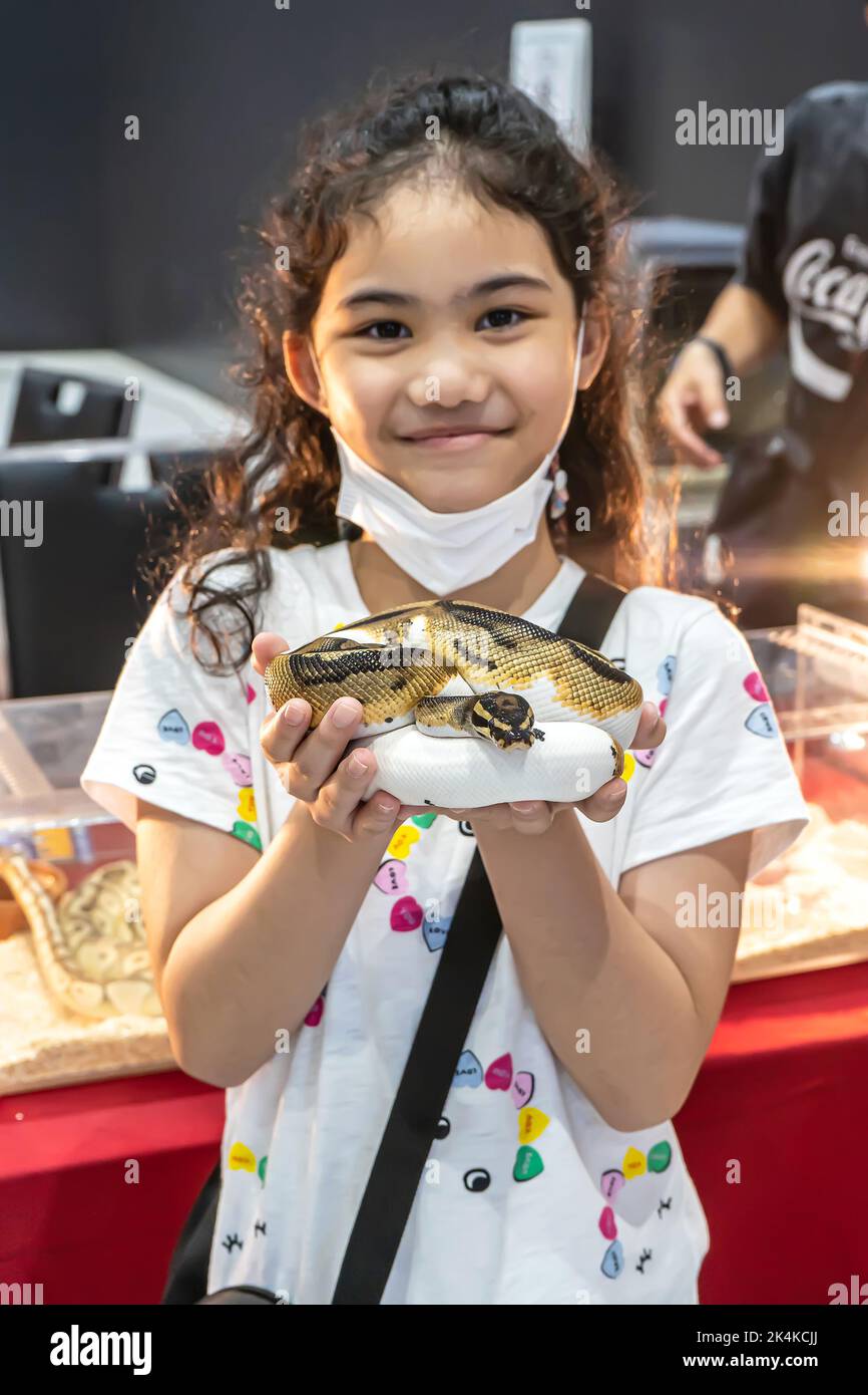 Nonthaburi, Tailandia - 4 giugno 2022 - ragazza che tiene un python della sfera del mercato pop della pianta dell'animale domestico del centro commerciale al ngamwongwan del centro commerciale, Nonthaburi, Tailandia. Foto Stock