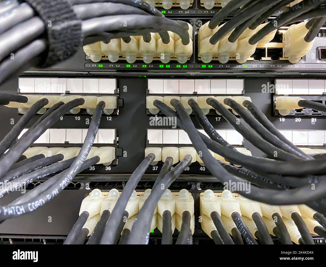 Cavi Ethernet collegati all'apparecchiatura di rete Foto Stock