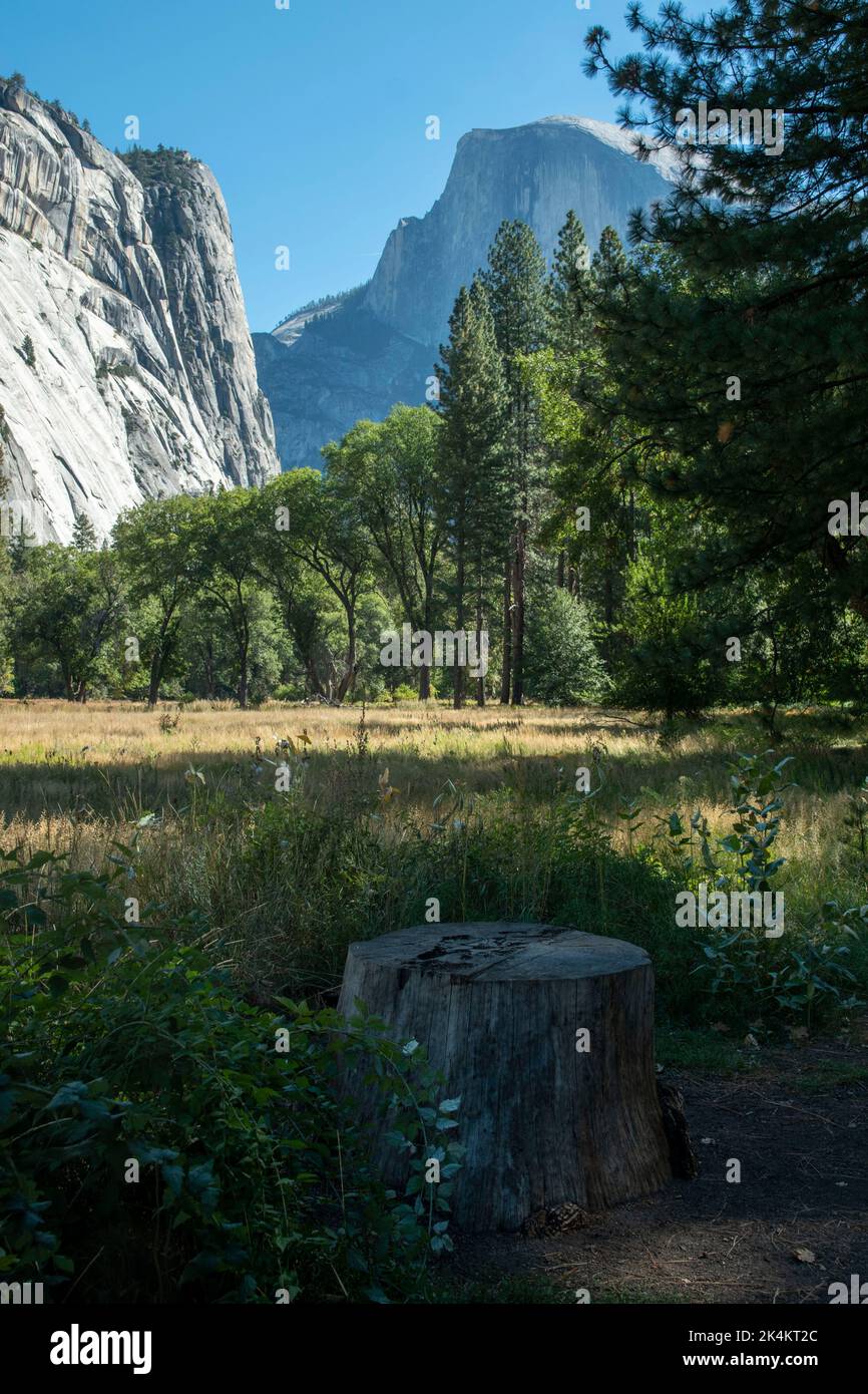 Ci sono innumerevoli attrazioni nella Yosemite Valley all'interno del Parco Nazionale di Yosemite, California, tra cui El Capitan, Half Dome e Washington Column. Foto Stock