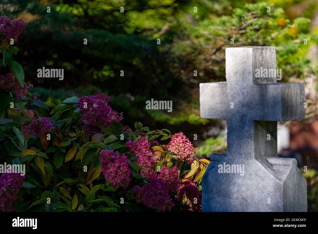 Beechwood Cemetery, cimitero nazionale del Canada durante la stagione autunnale colori. Cimitero di Beechwood, Ottawa, Ontario, Canada Foto Stock