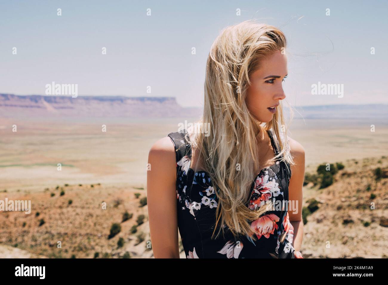 Ritratto di bella donna bionda con capelli lunghi nel paesaggio desertico Foto Stock