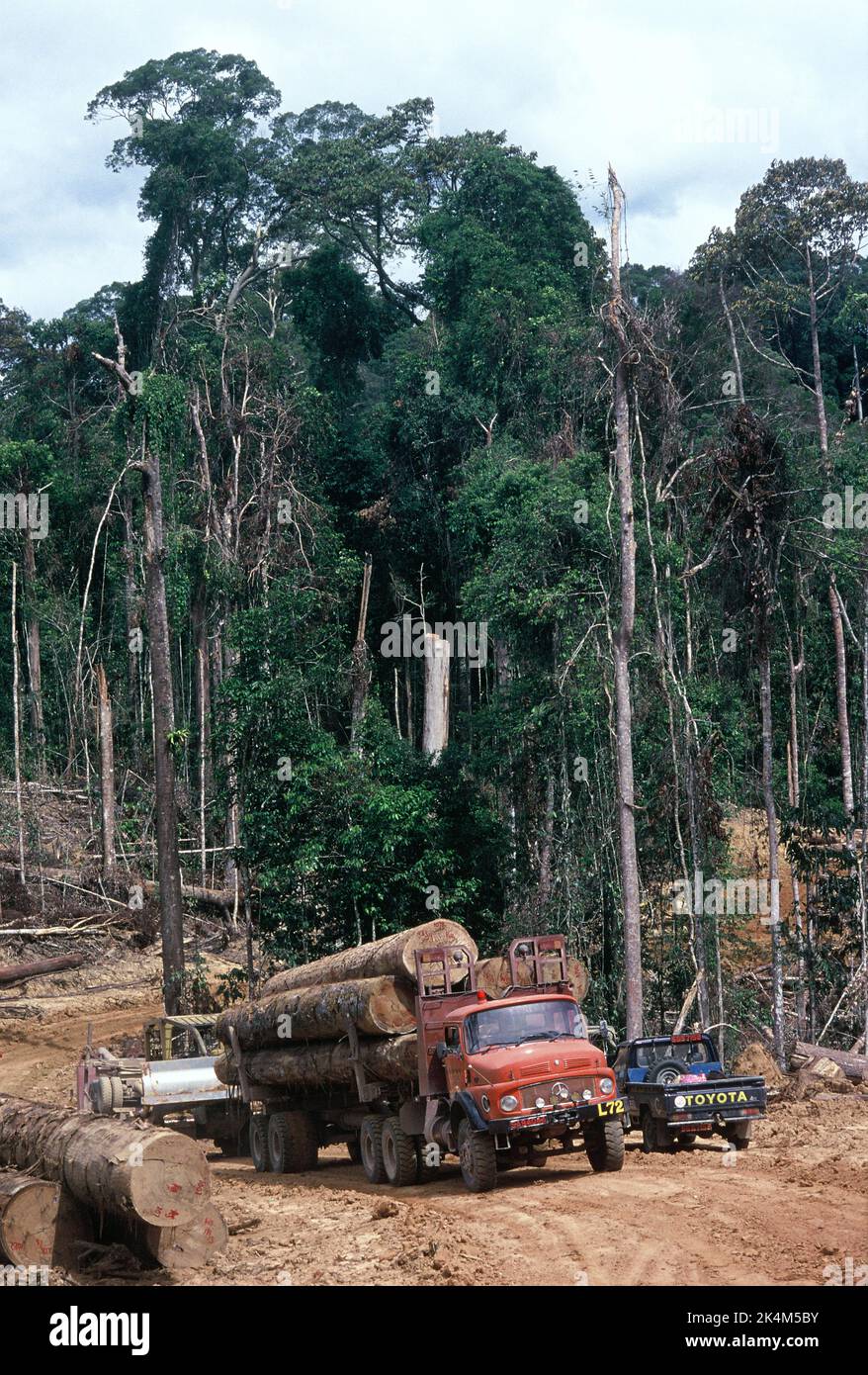 Malesia. Sabah. Registrazione. Camion caricato con tronchi di legno duro gigante. Foto Stock