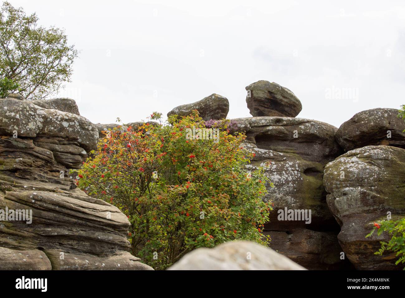 Brimham Rocks National Trust Yorkshire Foto Stock