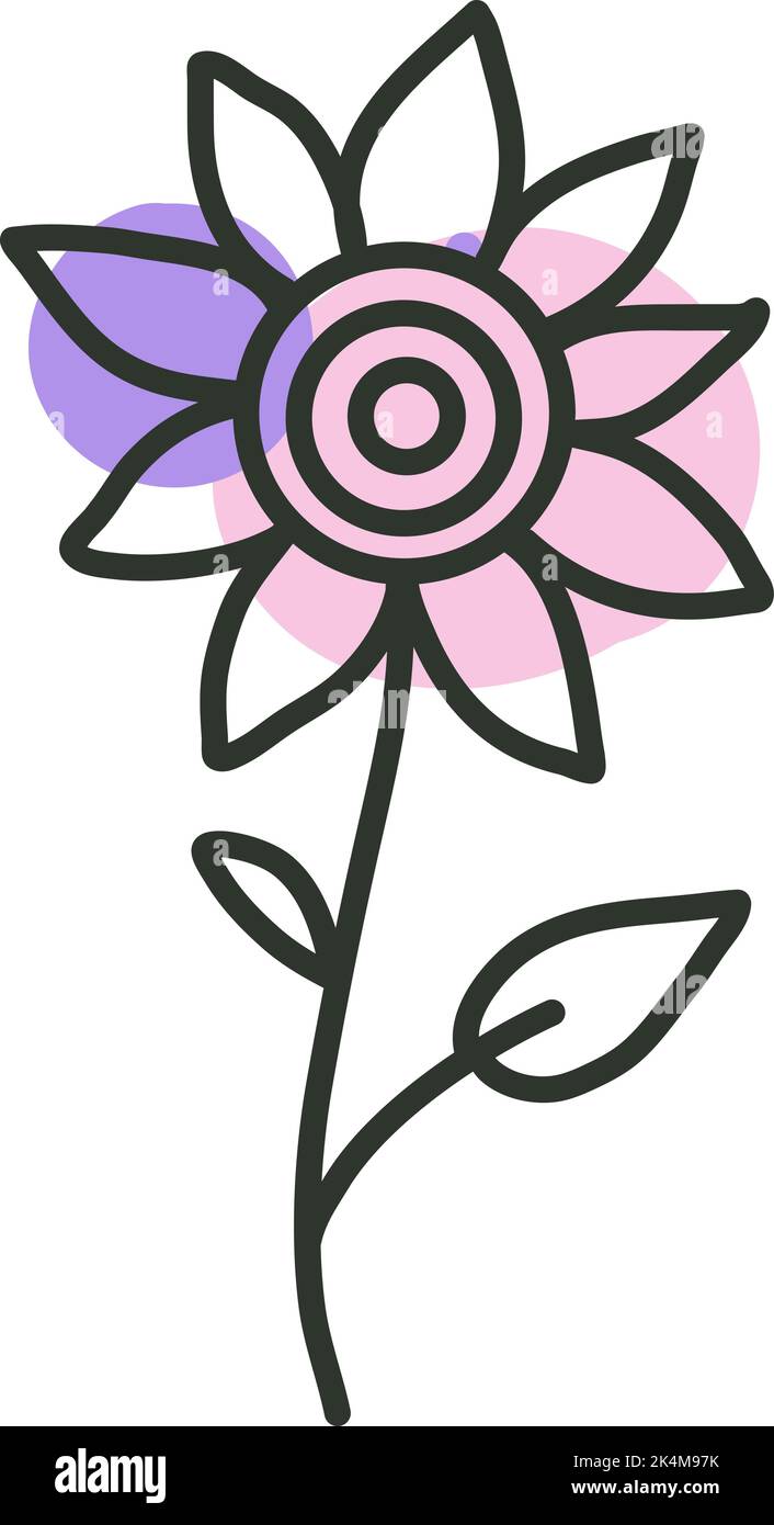 Girasole, illustrazione, vettore su sfondo bianco. Illustrazione Vettoriale