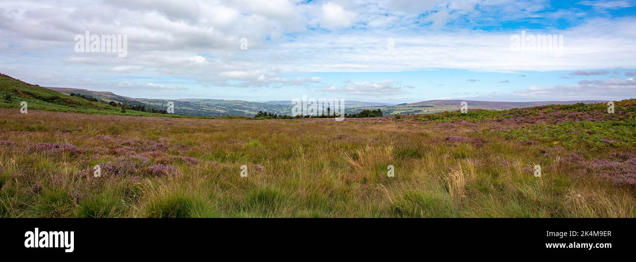 Una vista sull'Ilkley Moor Yorkshire Foto Stock