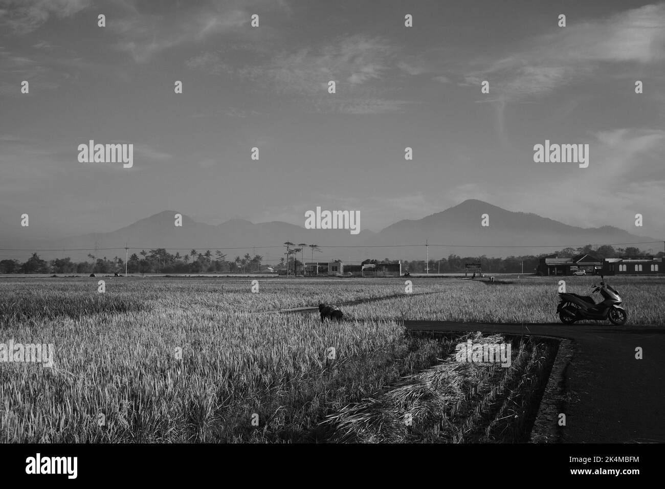 Cicalengka, West Java, Indonesia - 02 Ottobre, 2022 : moto automatico, foto monocromatica di una moto parcheggiata nel mezzo della strada tra ri Foto Stock