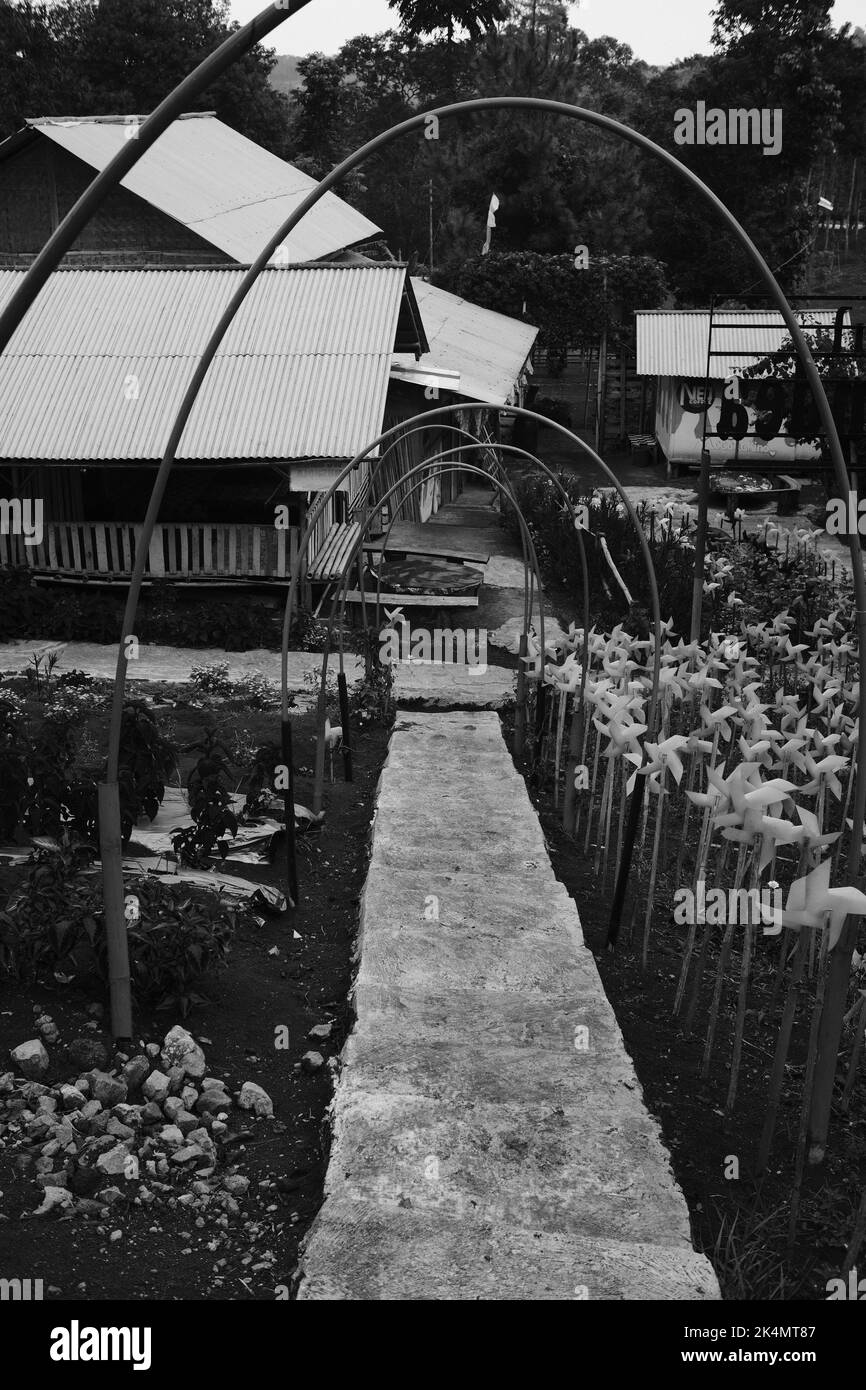 Sentiero, foto monocromatica di un sentiero decorato con mulini a vento nel Parco Zandea nella zona di Cikancung - Indonesia Foto Stock