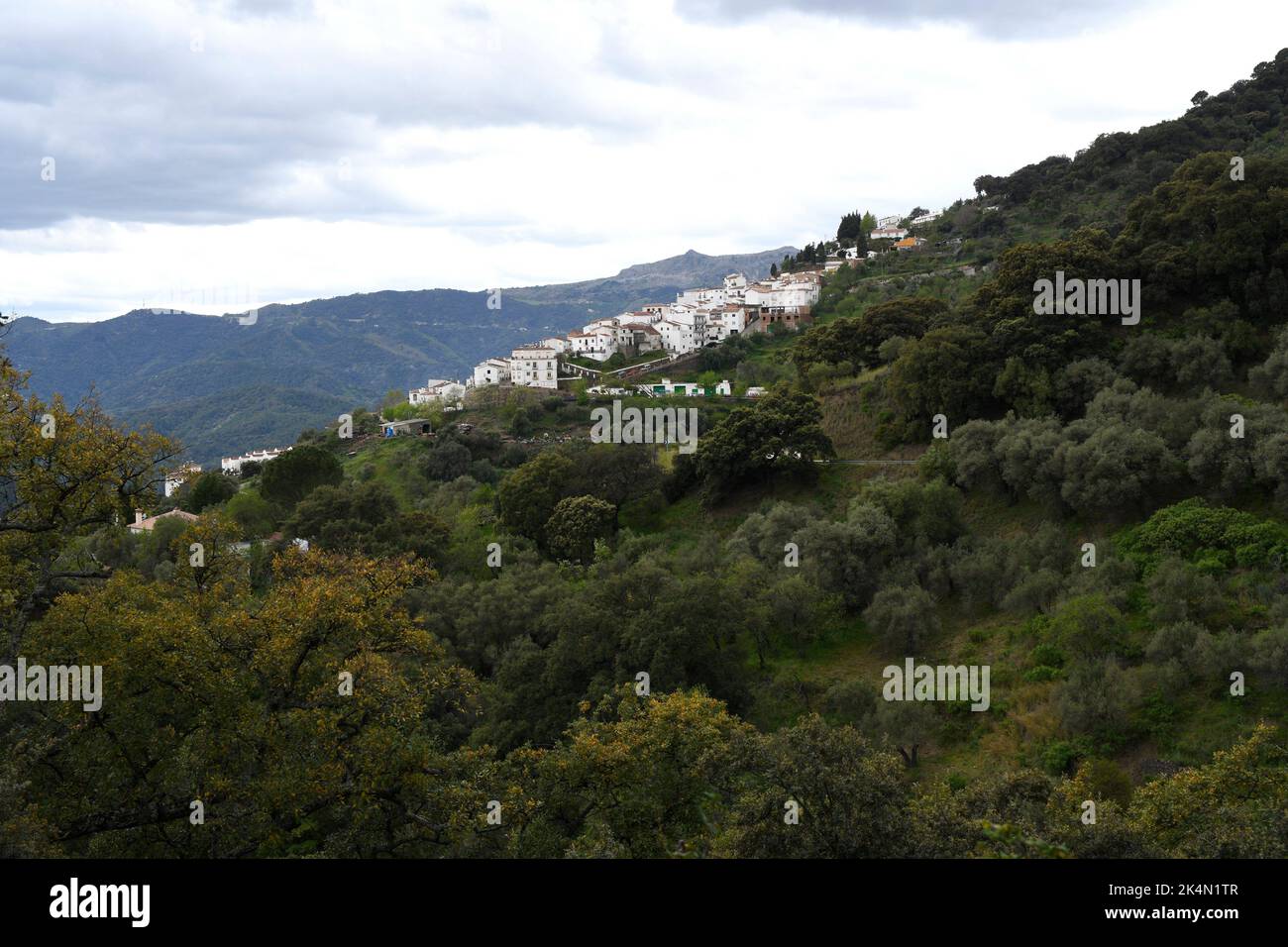 Jubrique, vista panoramica. Serranía de Ronda, Málaga, Andalusia, Spagna. Foto Stock