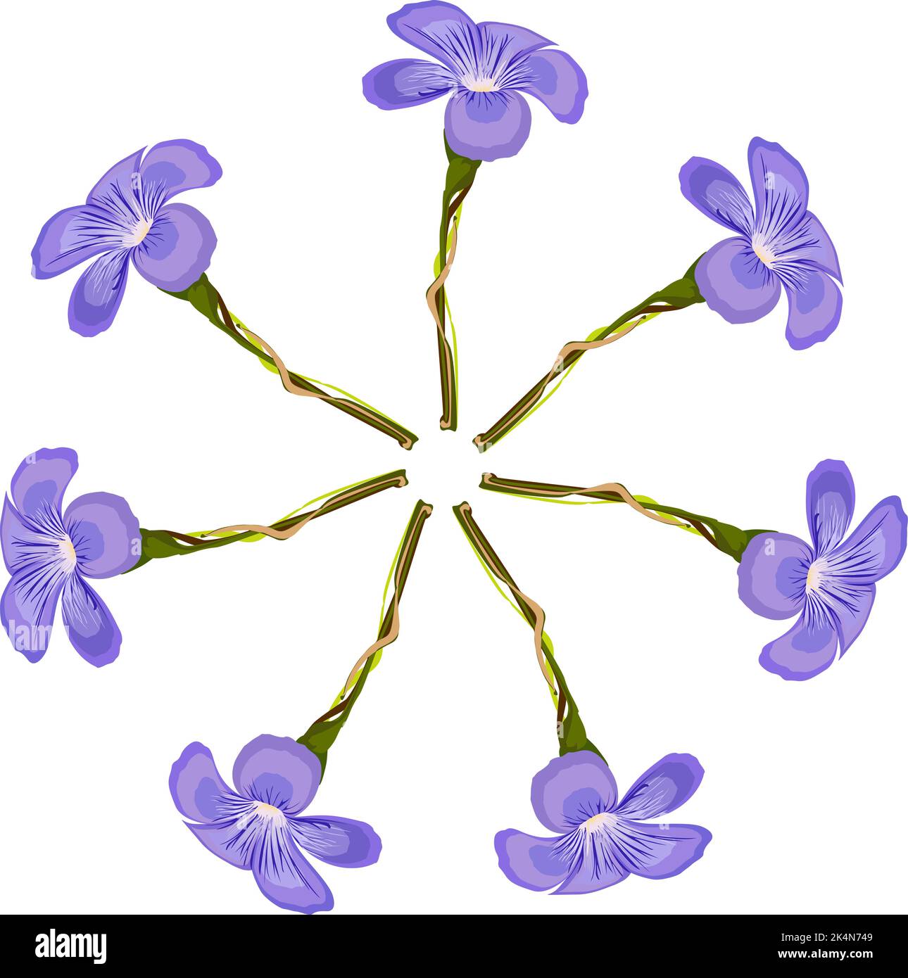 Fiori lilla, illustrazione, vettore su sfondo bianco. Illustrazione Vettoriale