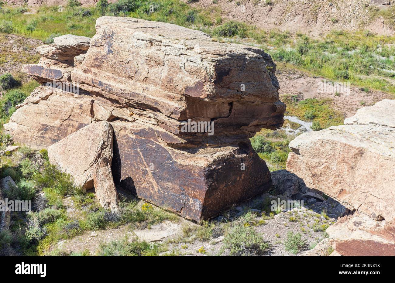 Petroglifi incisi su una pietra nel Petrified Forest National Park in Arizona Foto Stock