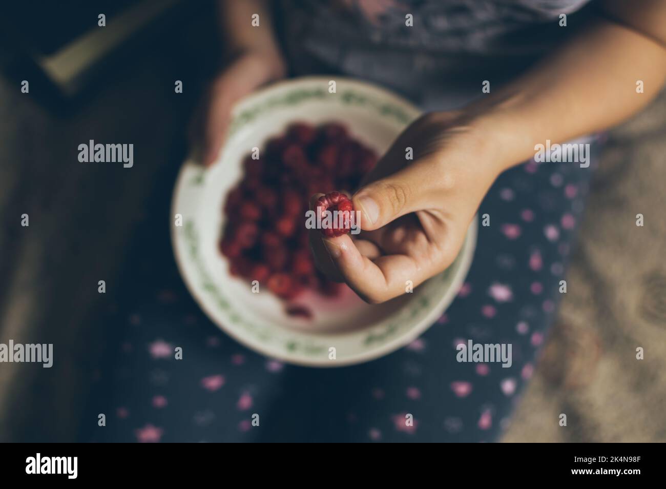 Ragazza che mangia lamponi rossi dal piatto seduto a casa Foto Stock