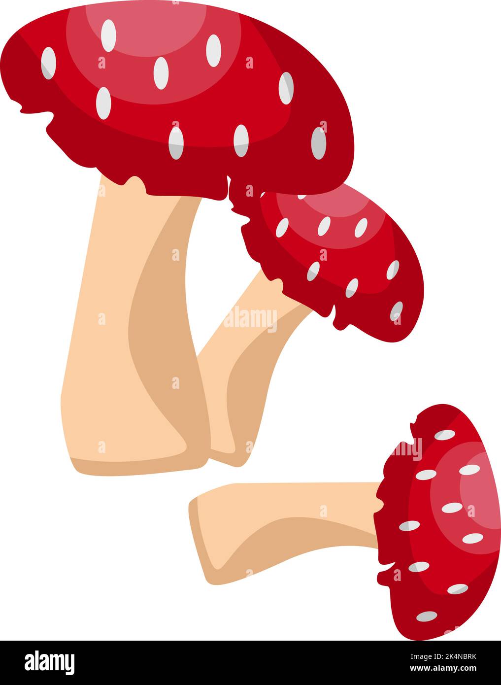 Funghi velenosi, illustrazione, vettore su sfondo bianco. Illustrazione Vettoriale