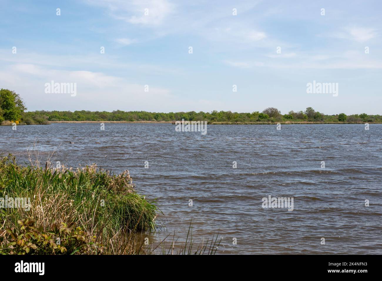 Stagno di Parc Régional de la Brenne en France. Questo stagno è uno degli altri 3000 stagni di questo Parc Régional. Questi stagni sono usati di solito per la pesca. Foto Stock