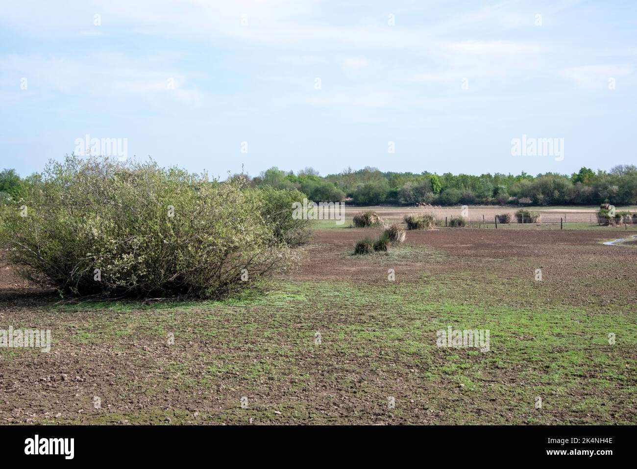 Stagno di Parc Régional de la Brenne en France. Questo stagno è uno degli altri 3000 stagni di questo Parc Régional. A volte alcuni stagni sono svuotati. Foto Stock