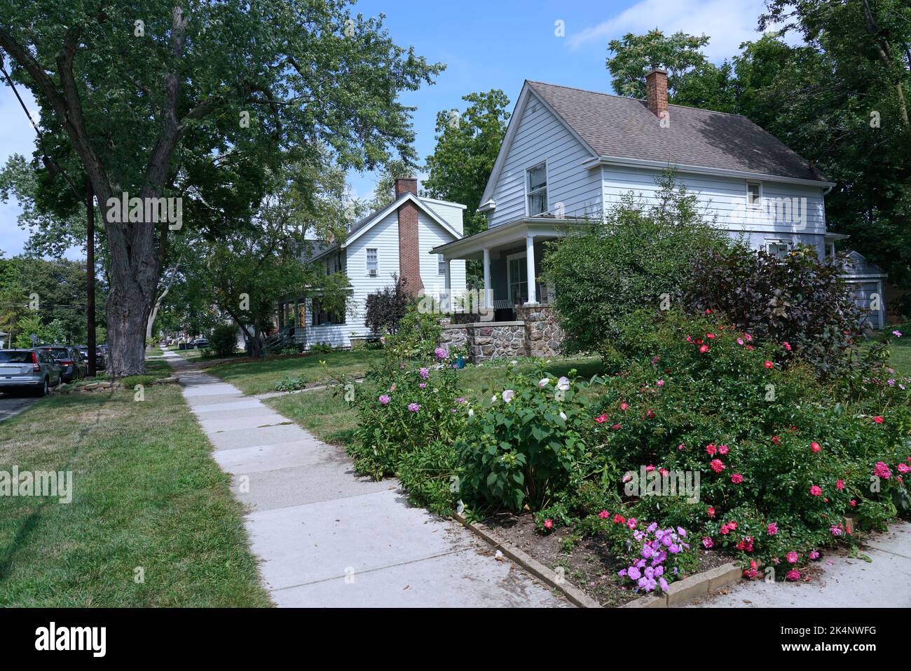 Strada suburbana americana con due piani case indipendenti con siding bianco Foto Stock