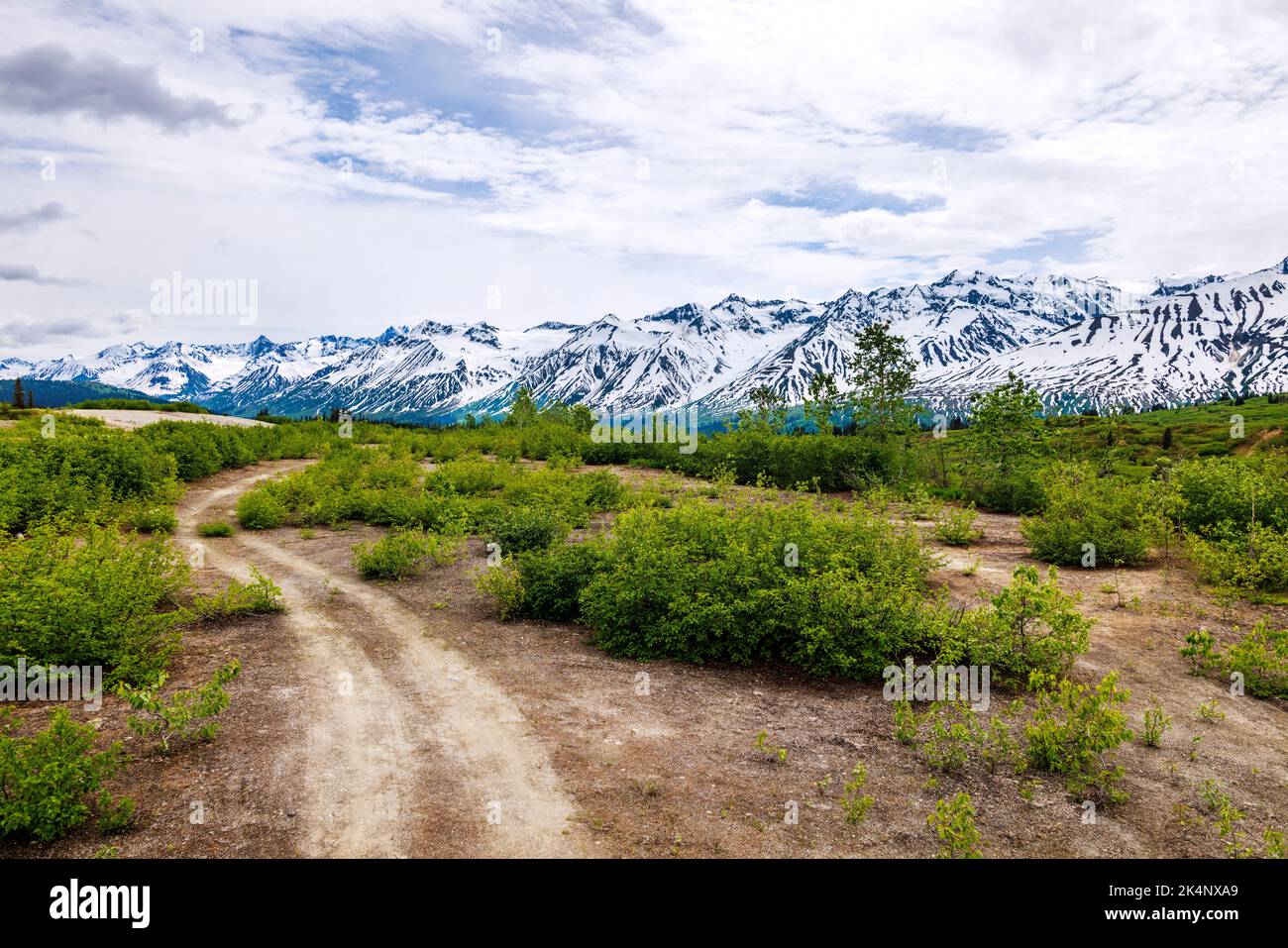 La strada sterrata porta a vedere ad ovest della catena montuosa di Alsek; il Parco Provinciale di Tatshenshini Alsek dalla Haines Highway; British Columbia; Canada Foto Stock