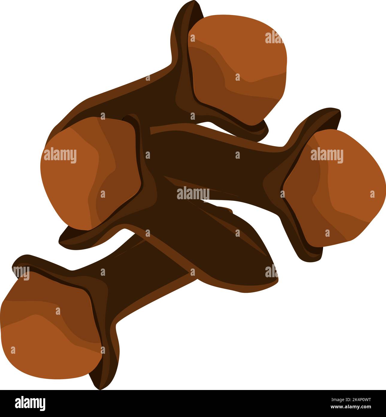 Chiodi di garofano marroni, illustrazione, vettore su sfondo bianco. Illustrazione Vettoriale