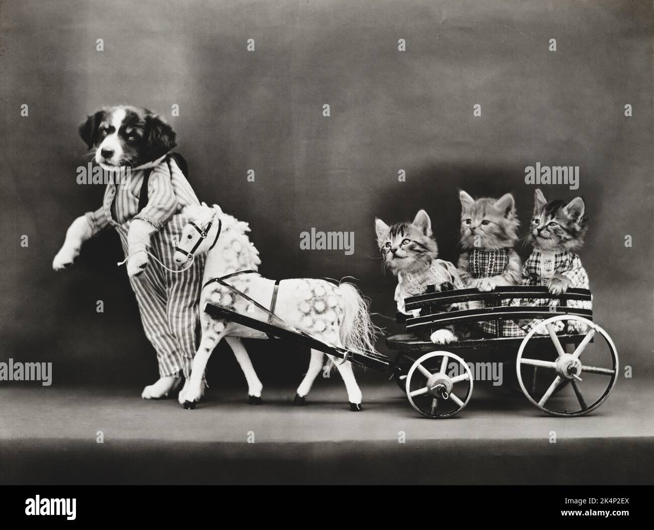 Un cucciolo tira tre gattini, vestiti di vestiti, in un carro, in una fotografia chiamata, 'A joy-ride' da Harry Whittier libera Foto Stock