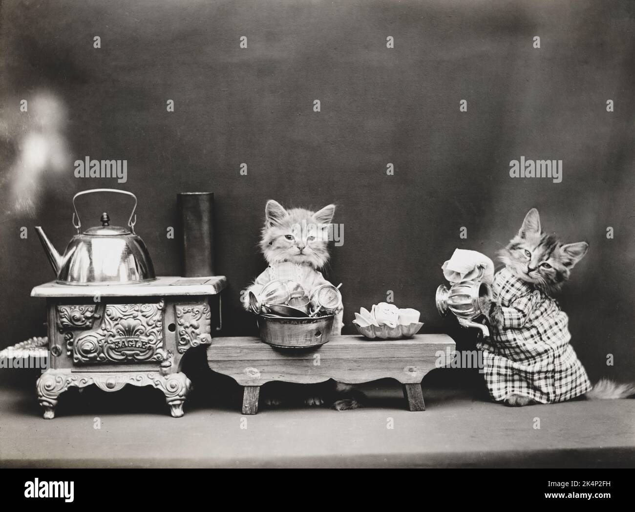 Due gattini che indossano vestiti e piatti di lavaggio, in una fotografia chiamata, 'piatti di lavaggio' da Harry Whittier libera Foto Stock