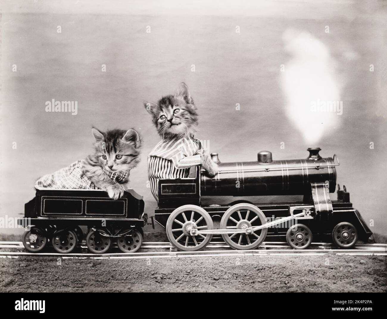 Due gattini che indossano abiti guidano un treno, in una fotografia chiamata "The fast express" di Harry Whittier libera Foto Stock