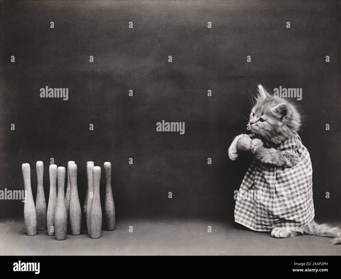 Un gattino gioca a bowling a dieci birilli in una fotografia chiamata "Ten Pins" di Harry Whittier Frees Foto Stock