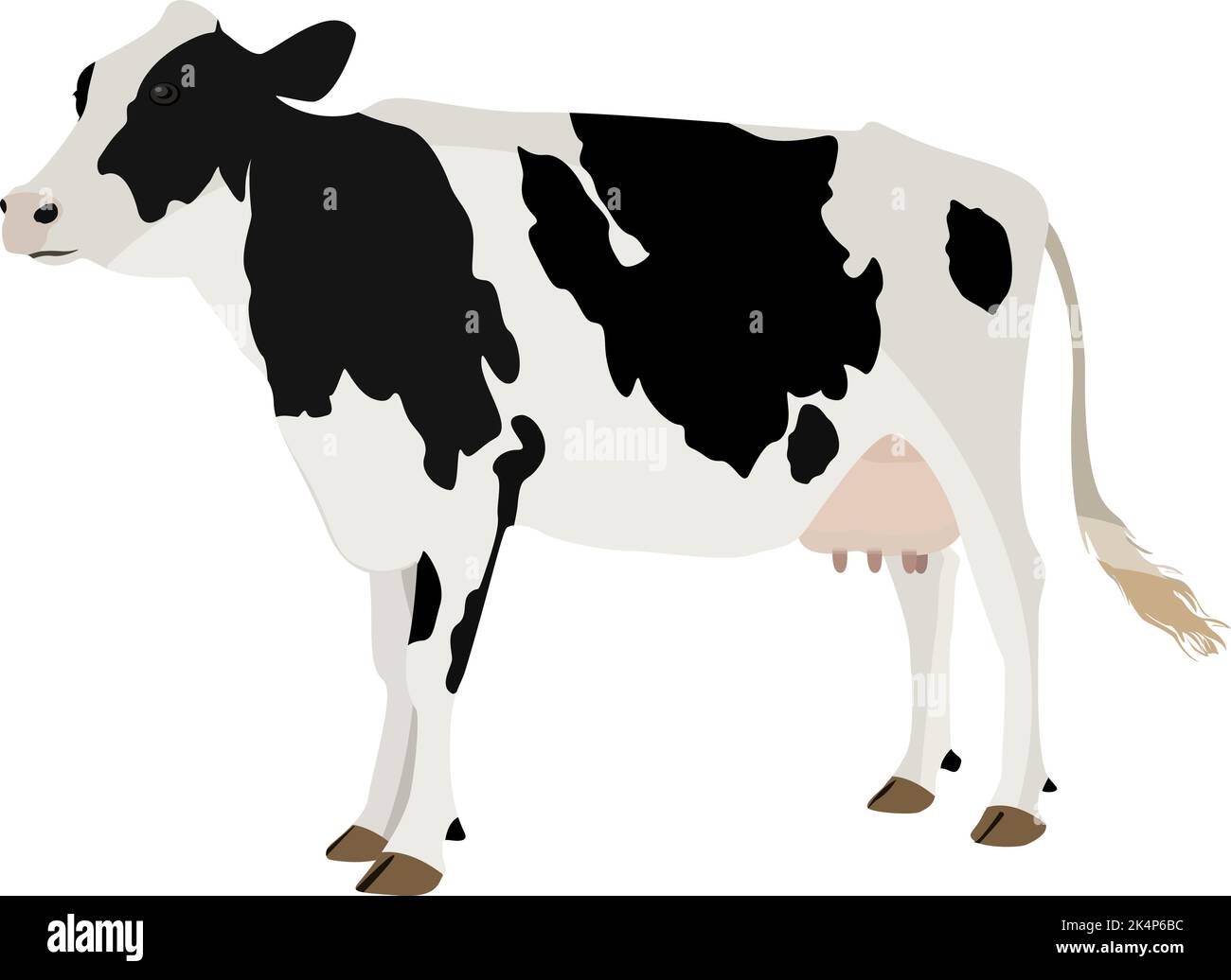 Mucca bianca e nera, illustrazione, vettore su sfondo bianco. Illustrazione Vettoriale