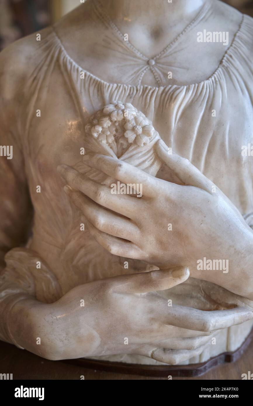 Fioretta gorini immagini e fotografie stock ad alta risoluzione Alamy