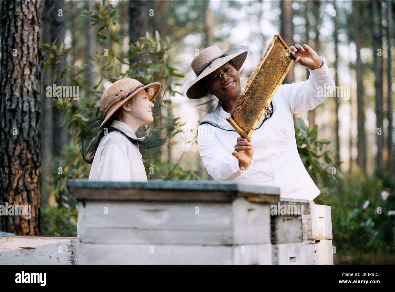 DAKOTA FANNING, Queen Latifah, i segreti della vita delle api, 2008 Foto Stock