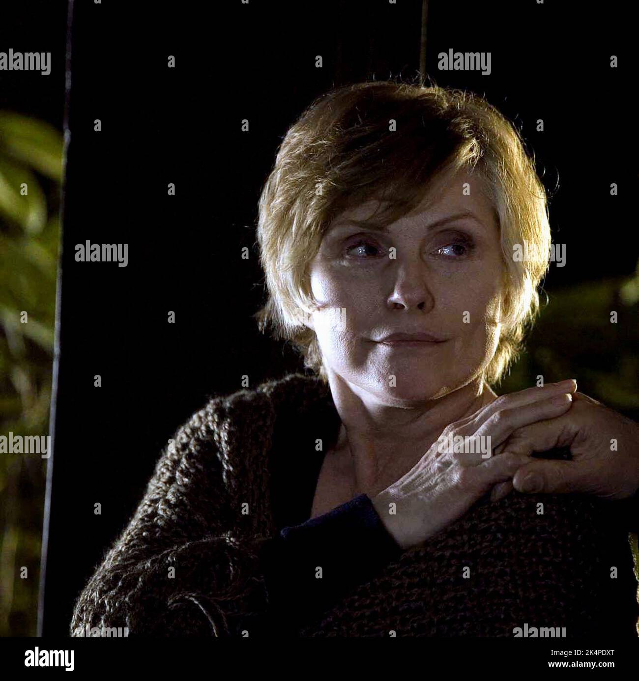 DEBBIE HARRY, ELEGY, 2008 Foto Stock