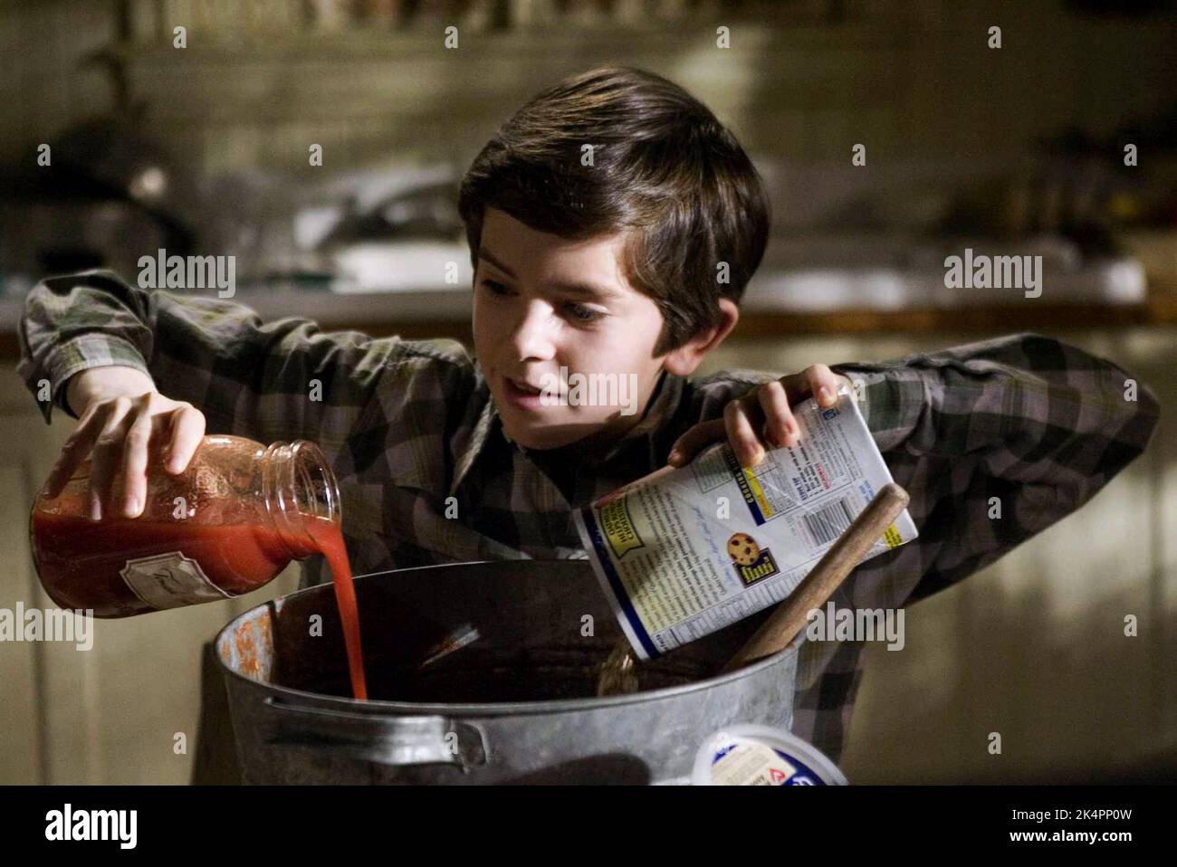 FREDDIE HIGHMORE, Spiderwick - Le cronache, 2008 Foto Stock