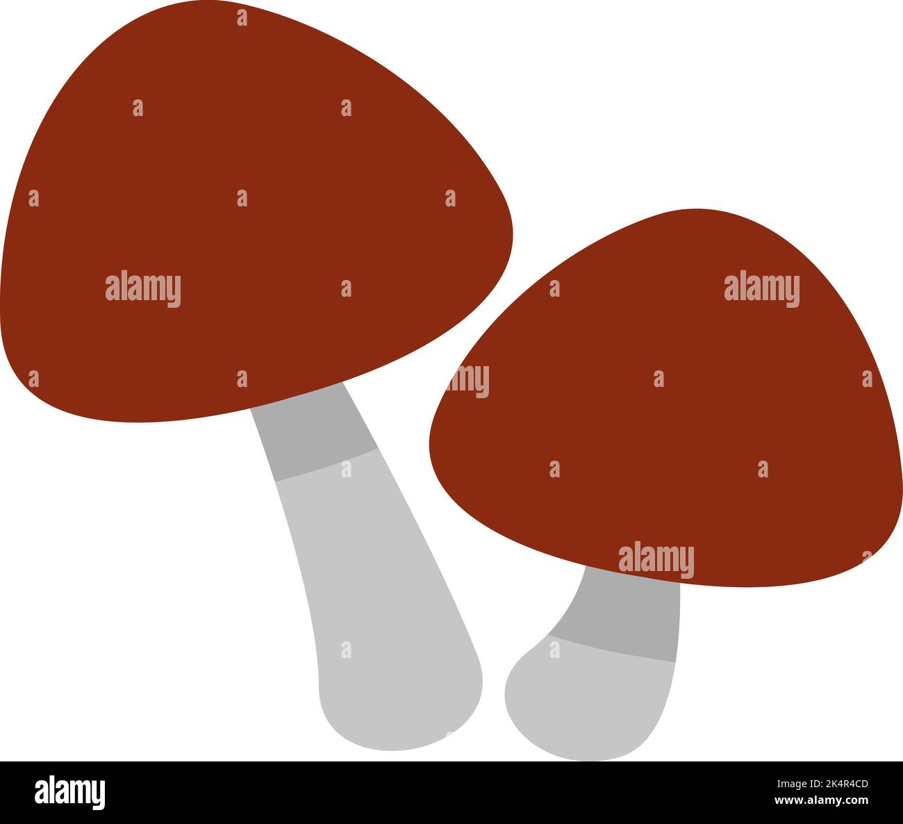 Fungo di Truflle, illustrazione, vettore su sfondo bianco. Illustrazione Vettoriale