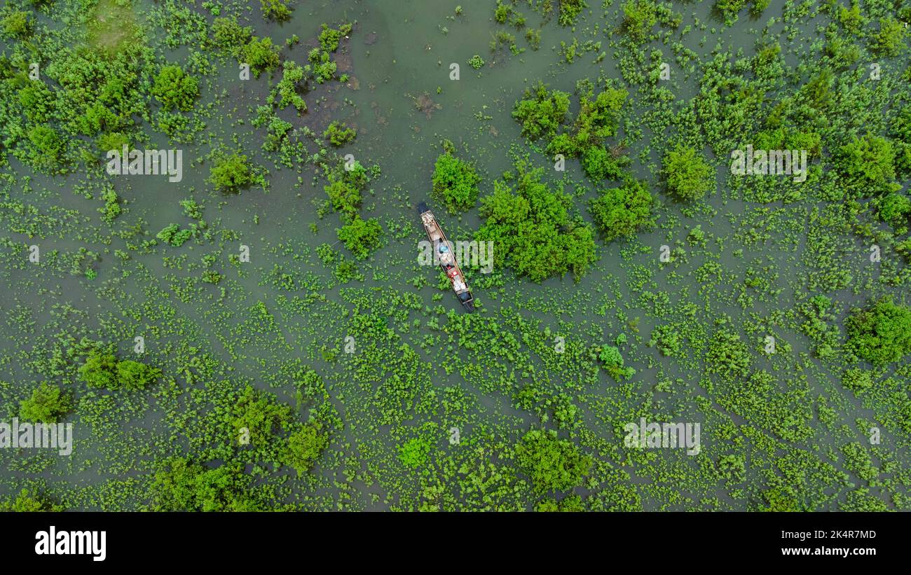 La vista aerea di una barca a coda lunga in un prato verde è influenzata dalle inondazioni nella stagione delle piogge. Vista dall'alto del fiume che scorre dopo la pioggia e l'alluvione Foto Stock