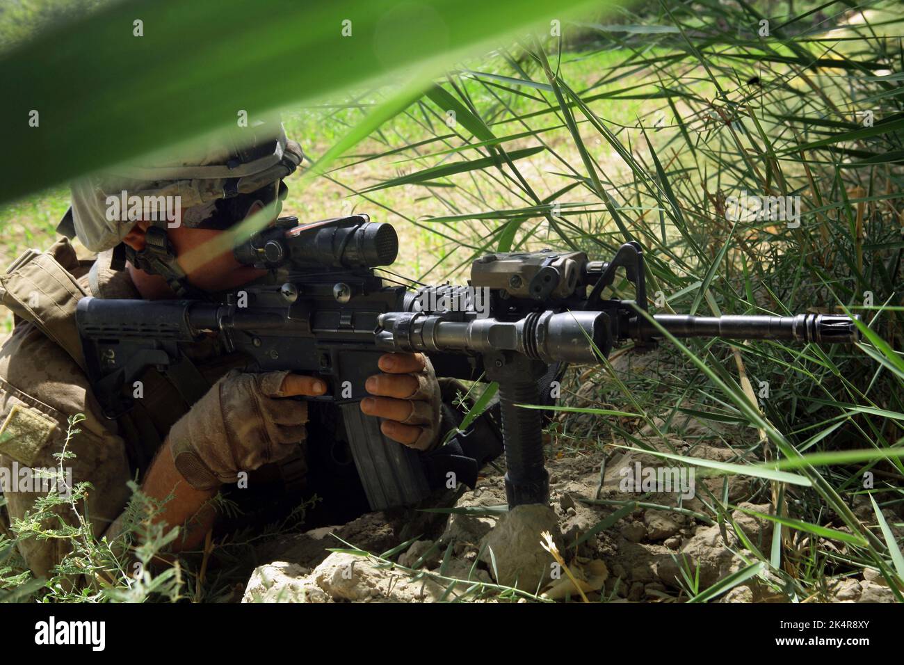 PROVINCIA DI HELMAND, AFGHANISTAN - 27 luglio 2009 - US Marine Lance CPL. Brad Stys with Fox Company, 2nd battaglione, 8th reggimento marino in un campo durante un Foto Stock