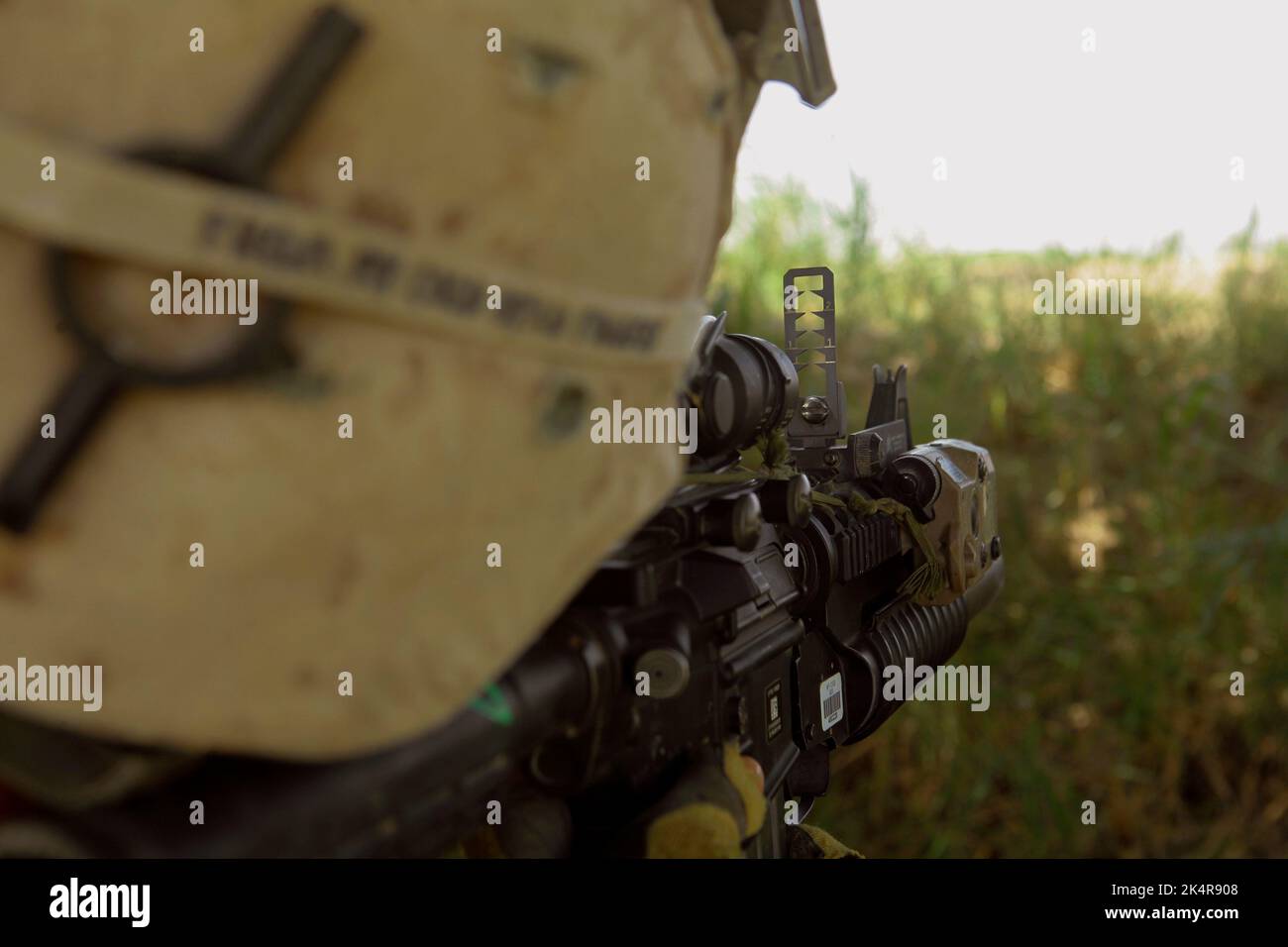 PROVINCIA DI HELMAND, AFGHANISTAN - 27 luglio 2009 - Marines USA con Fox Company, 2nd battaglione, 8th reggimento marino camminare attraverso un campo durante una sicurezza Foto Stock