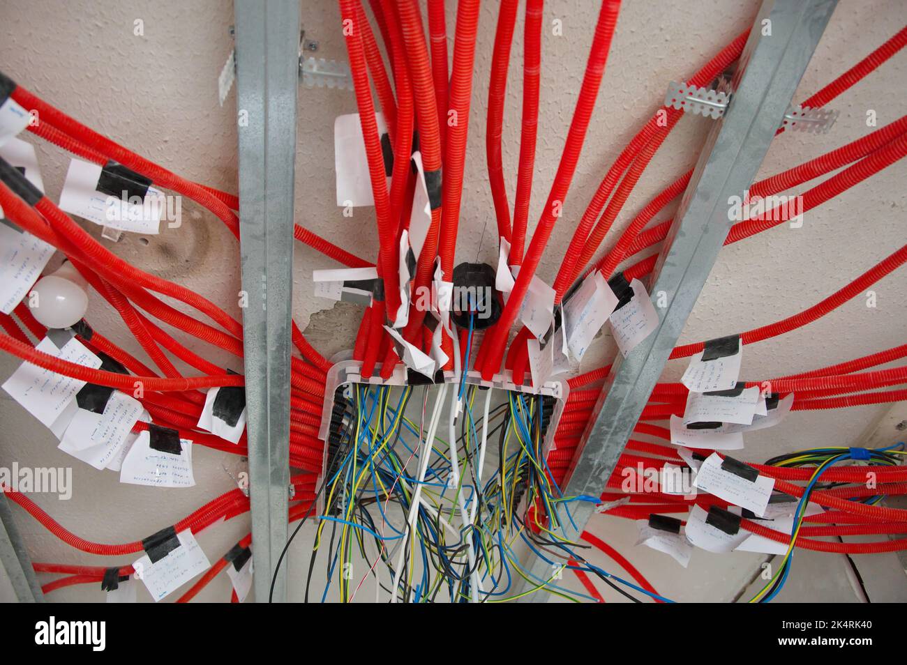 Spina elettrica in casa miglioramento riparazione con cavi di visto Foto Stock