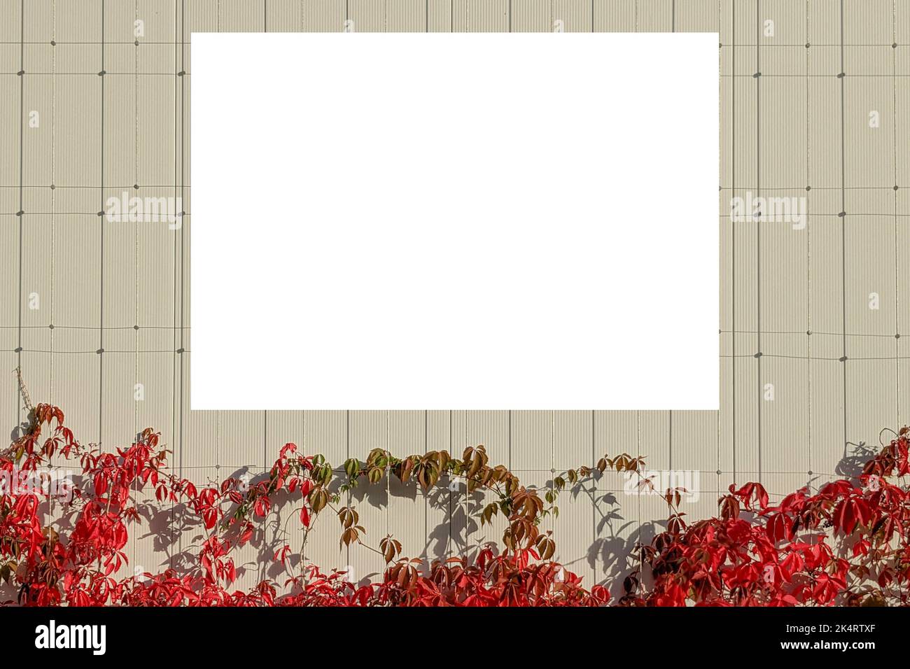 Beffa. Pannello pubblicitario orizzontale bianco, cartellone, cartello su sfondo beige Foto Stock