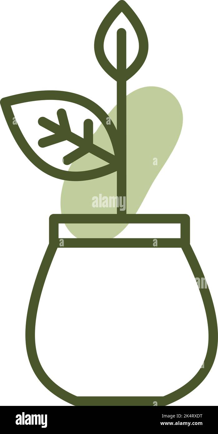 Pianta interna, illustrazione, vettore su sfondo bianco. Illustrazione Vettoriale