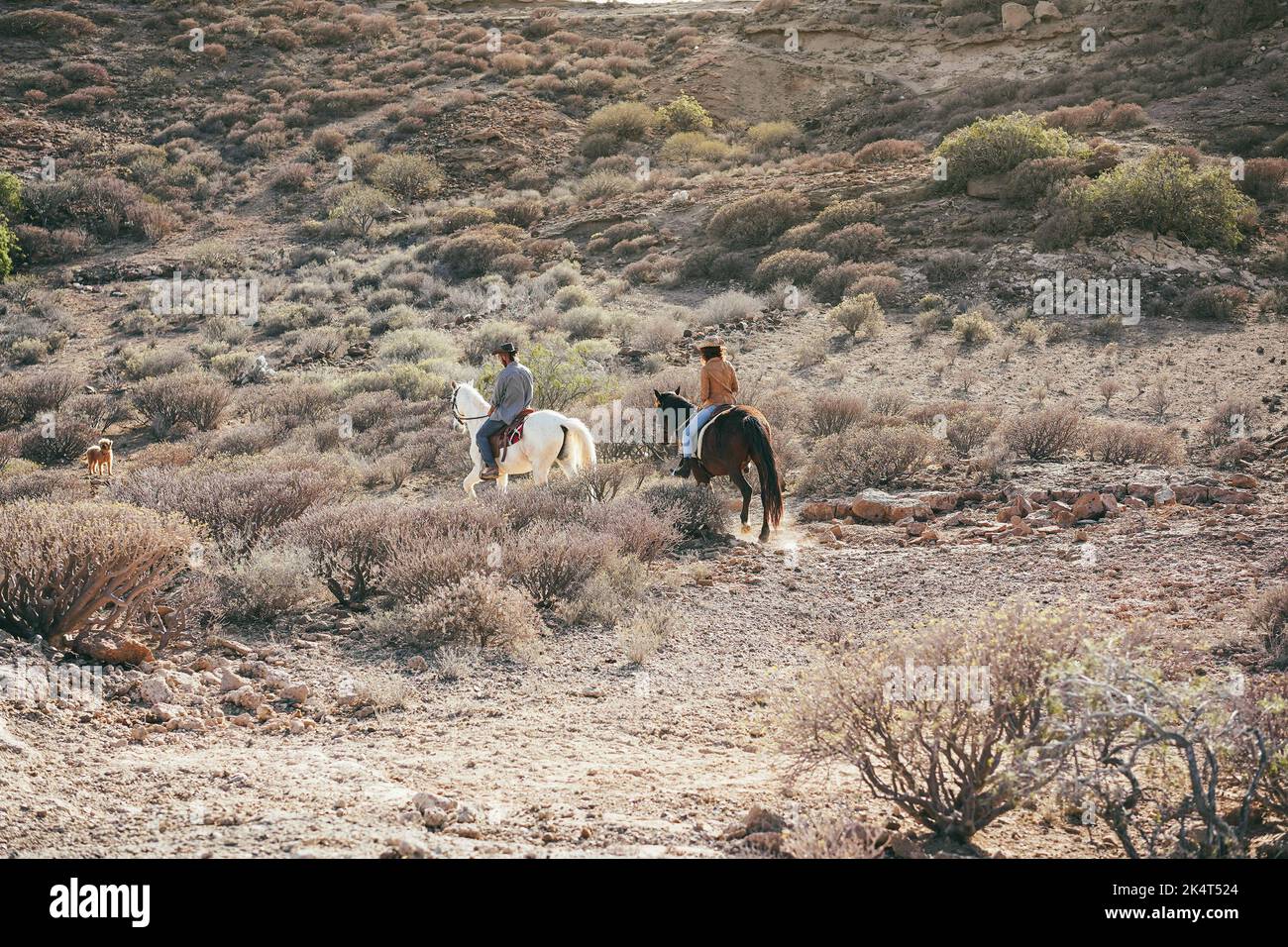 I giovani che cavalcano i cavalli fanno un'escursione al tramonto - Focus sulla donna indietro. Foto Stock