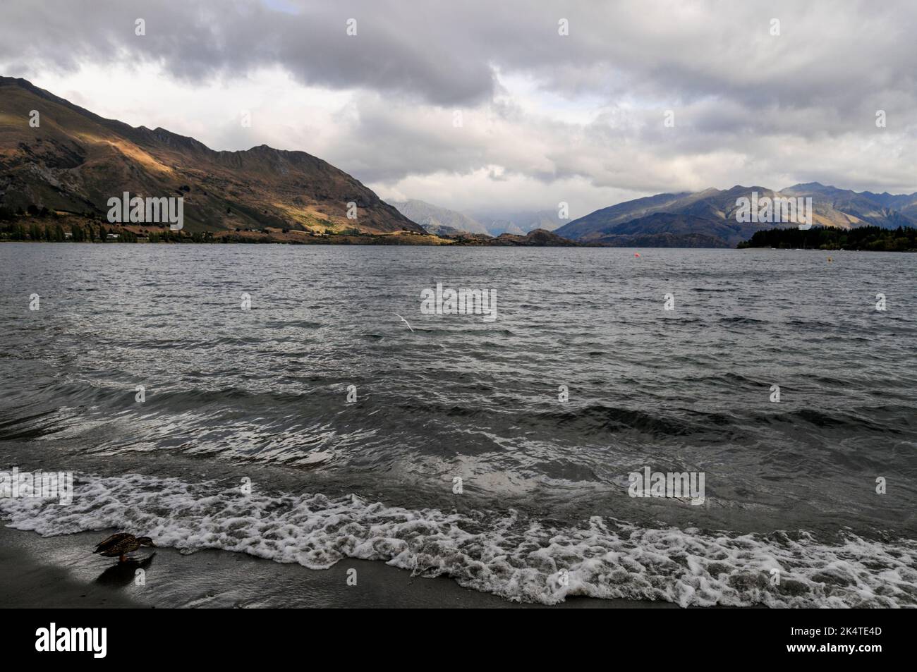 Wanaka è una piccola località turistica estiva e invernale nella regione di Otago, a South Island, in Nuova Zelanda. Wanaka si trova sulla riva del lago Wanaka Foto Stock