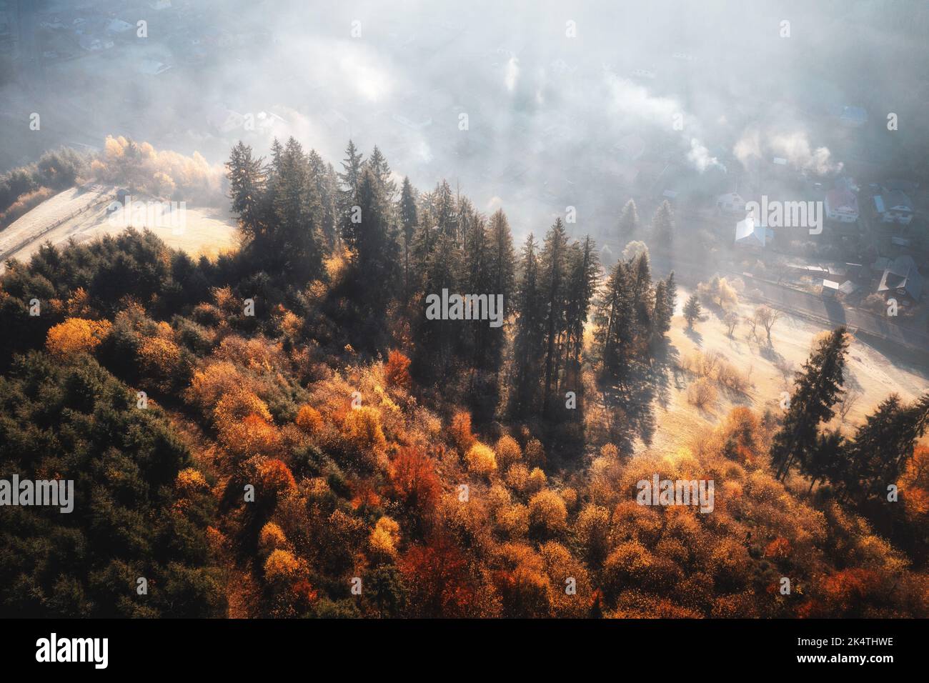 Vista aerea di splendidi pini sulla collina di montagna in nebbia Foto Stock