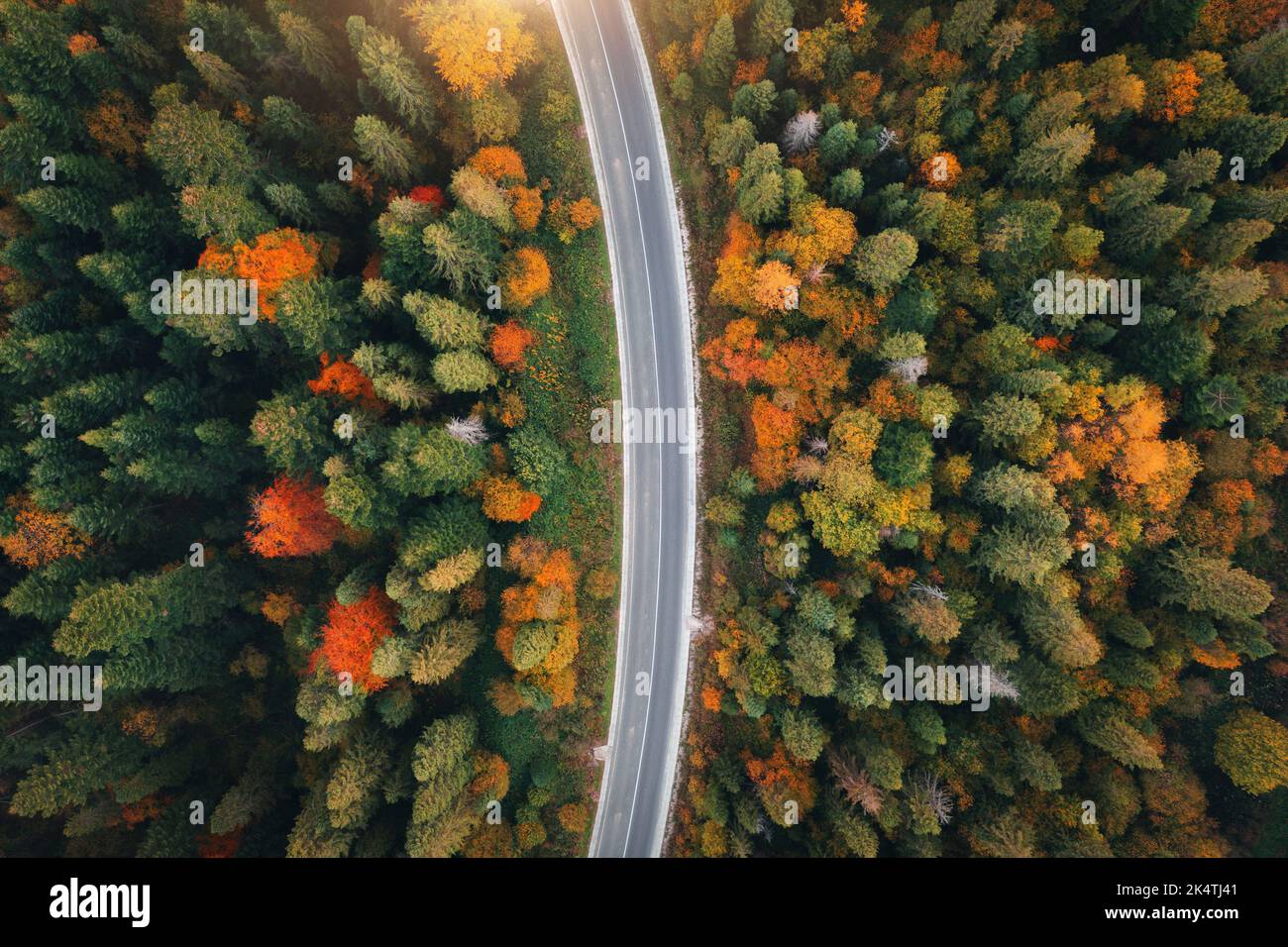 Vista aerea della strada vuota nella foresta autunnale colorata al tramonto Foto Stock